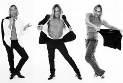 Iggy, tryptique, essai