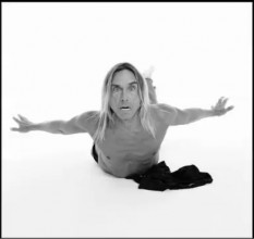 vidéo Iggy Pop